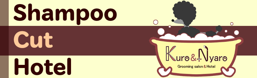 83w83b83_8aae90ac01.png